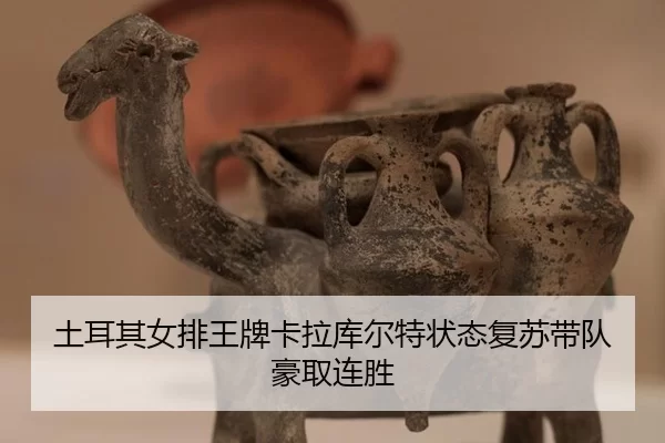 tu-er-qi-nv-pai-wang-pai-ka-la-ku-er-te-zhuang-tai-fu-su-dai-dui-hao-qu-lian-sheng-3-493.jpg