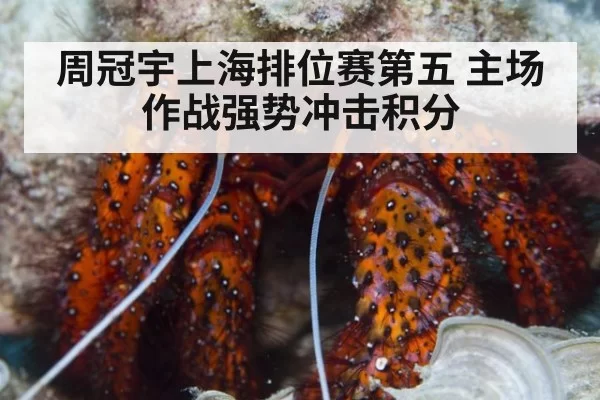 周冠宇上海排位赛第五 主场作战强势冲击积分